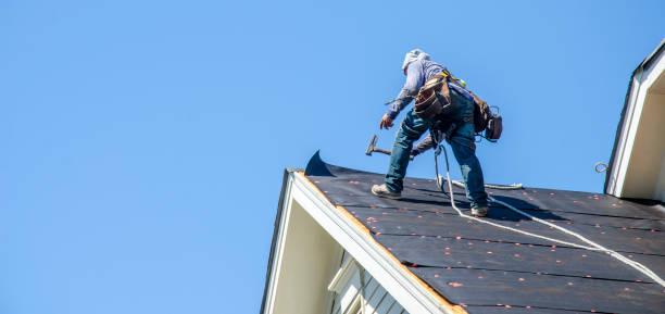 Best Roof Gutter Cleaning  in Siena College, NY